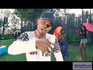 Ola Dips - Champagne